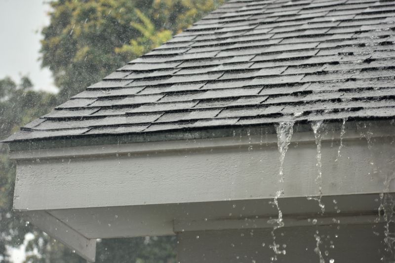 Gutter and Shingle Maintenance