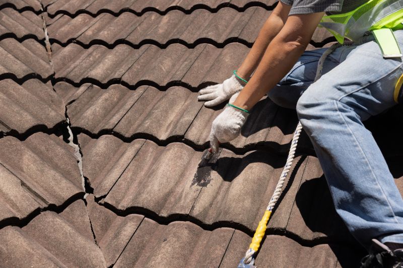 Specialized Roof Repairs